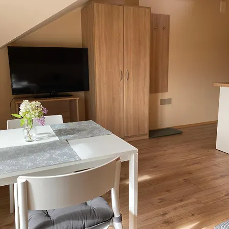 Atostogauti Gera 2 公寓 帕兰加